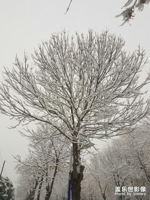 下雪了