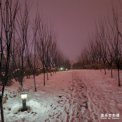 雪花飘飘