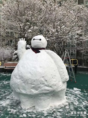 昨日北京雪景