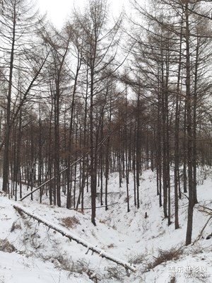 登山拍雪，，，