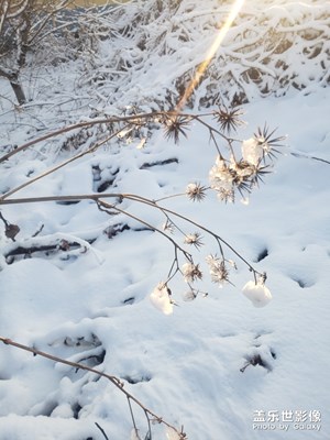 下雪了