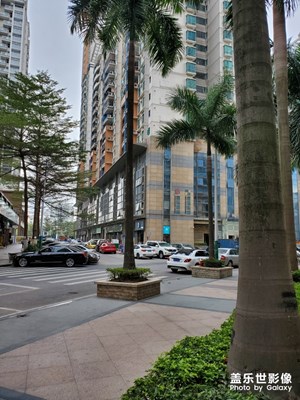 【大街小巷】+ 家周边