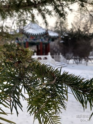 端雪丰年