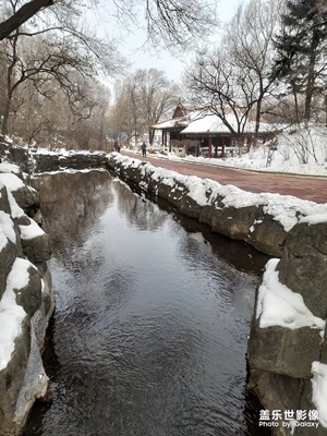 雪迎端年