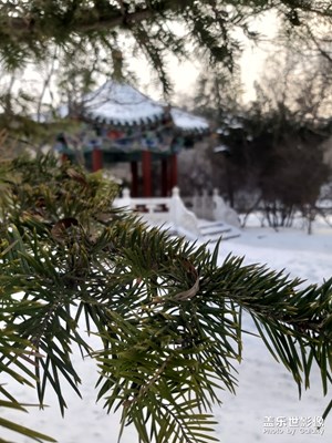 我爱白雪，我爱雪景。