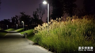 【明亮的夜】隐于城市角落的夜景