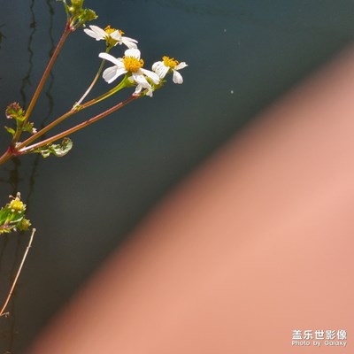 偶然
