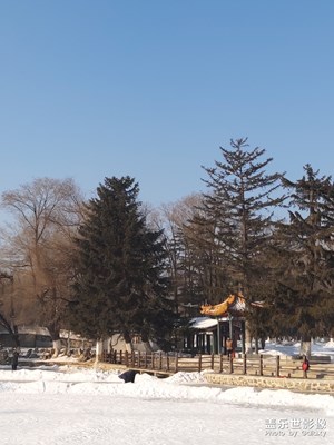 我爱白雪，我爱雪景。之三