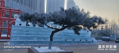 开往春天的列车