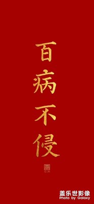 【鼠年吉祥】+难忘的新年