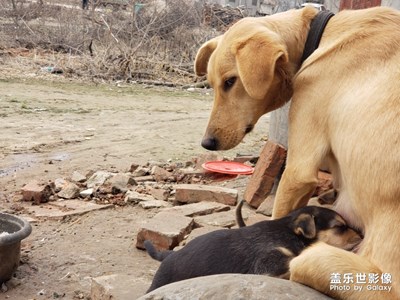 新年快乐