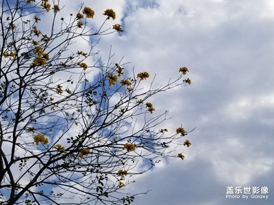 【新春】+雨后晴空