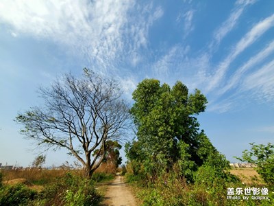 雨过天晴，出门踏青