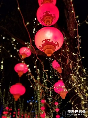 灯笼高挂 喜迎新春