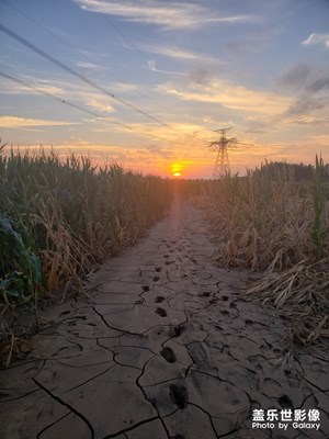 夕阳西下