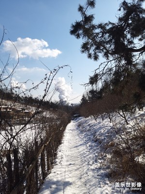 【我的生活】飞雪迎春