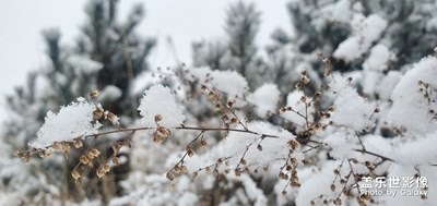 瑞雪兆丰年