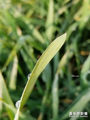 我手中的note8至今未被超越