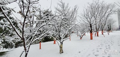 秋冬雪月，千里一色