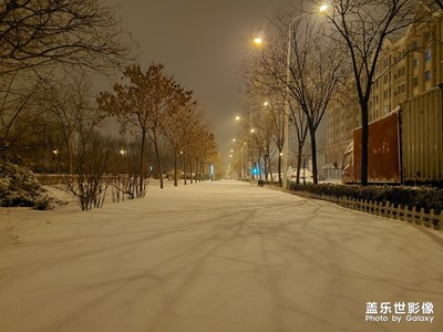 我有罪，我不该出门拍雪的！