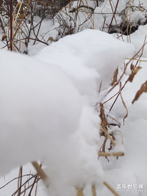 东北的雪