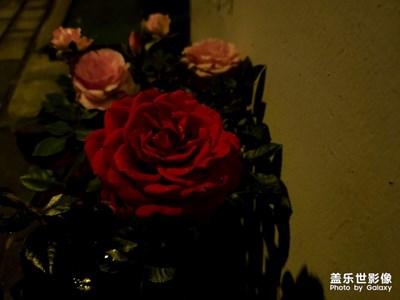 「花」