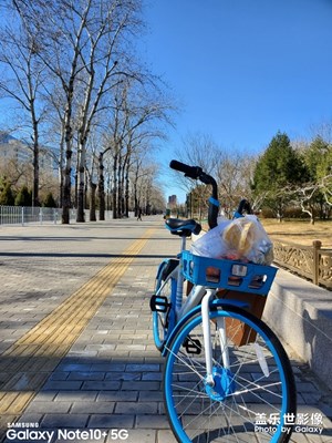 午后的幸福