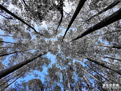 天空依旧蓝到可爱