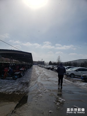 太阳雪