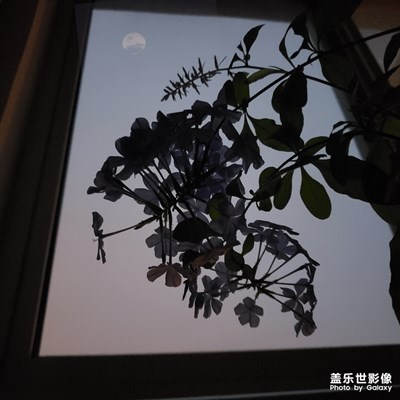 窗外