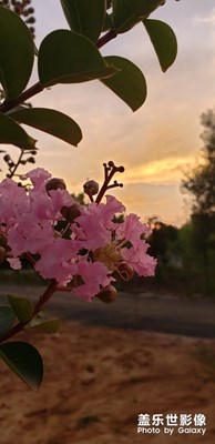夏日夕阳