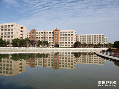 学校的风景