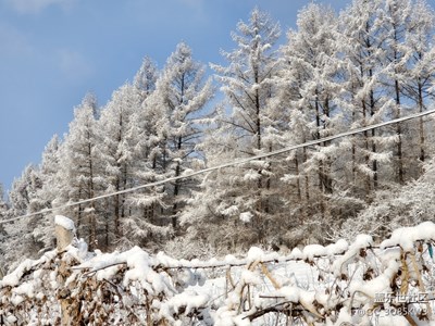 家乡的雪