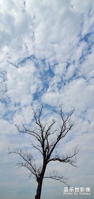 疫情期间放放风