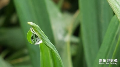 雨后