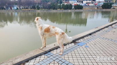 春