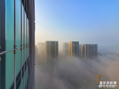 阳光与雾