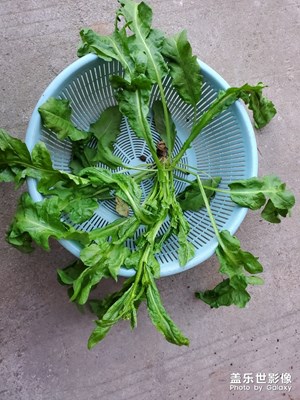 地菜