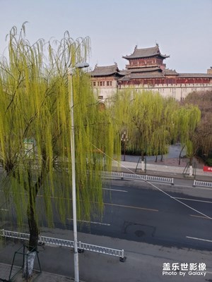 不来丽景门，枉来洛阳城。