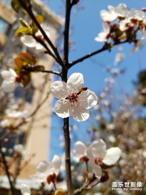 春暖花开