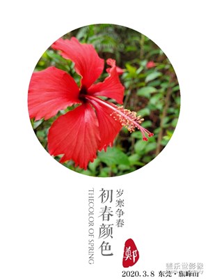 东莞旗峰山健走