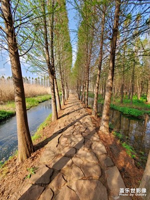 捞鱼河公园时光