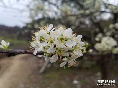 春暖花开