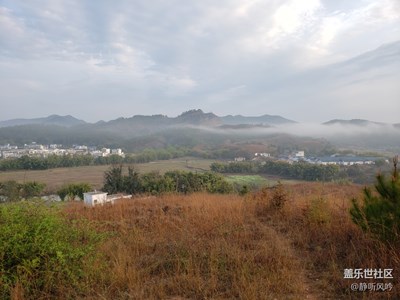 清晨的云雾