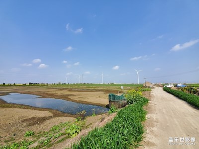 乡村一日游