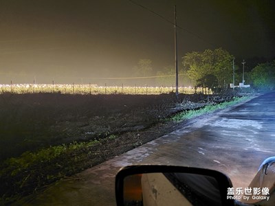 夜，可以这么美 ！