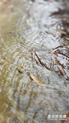 高山流水  落叶浮萍