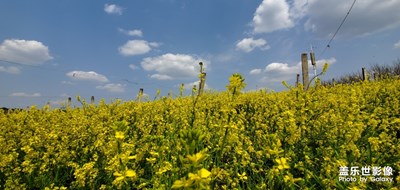 “蓬莱仙境”小游