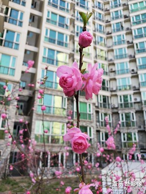 发芽咯