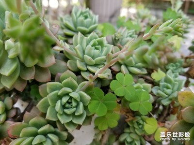 春和景明